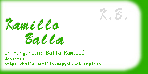 kamillo balla business card